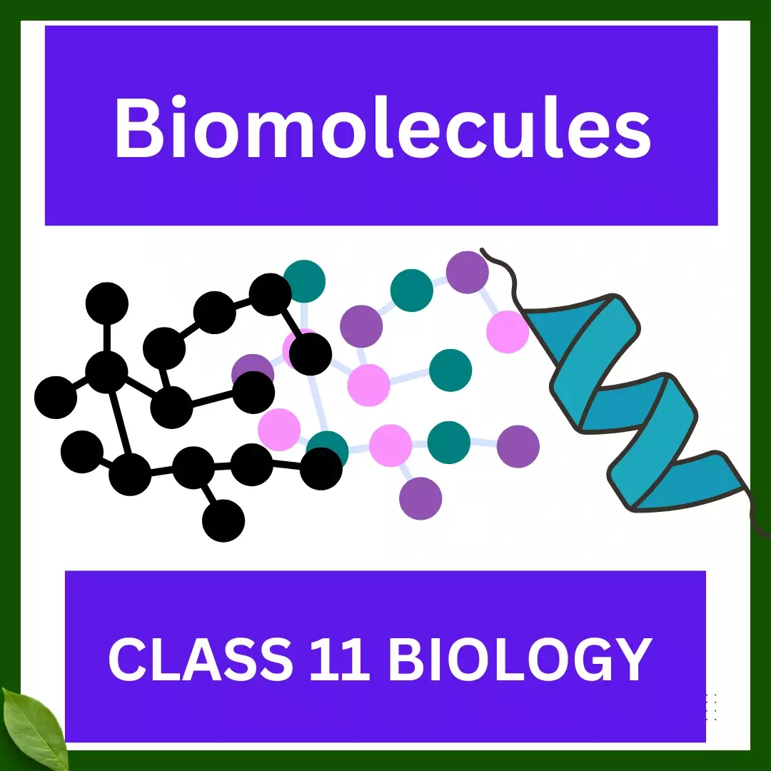 Biomolecules CLASS 11 BIOLOGY: A GREAT WORKSHEET FOR GOOD