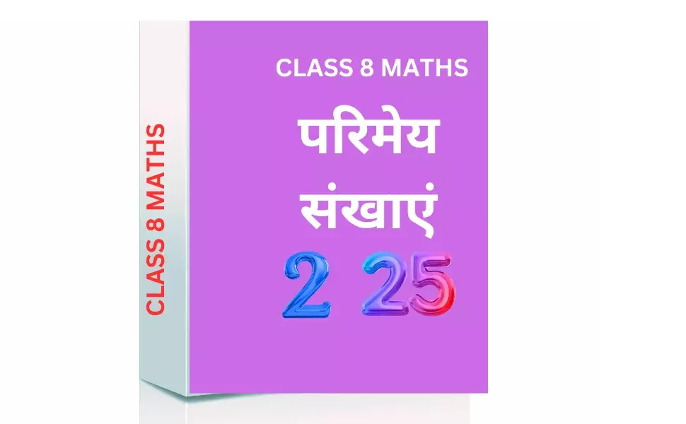 Chapter 1. परिमेय संख्याएँ CLASS 8 WORKSHEET