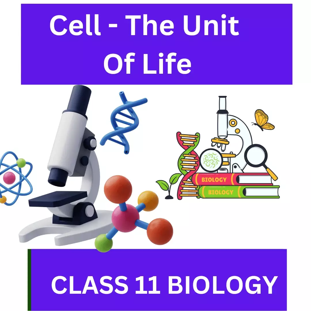 Cell - The Unit Of Life CLASS 11 BIOLOGY : A Great worksheet